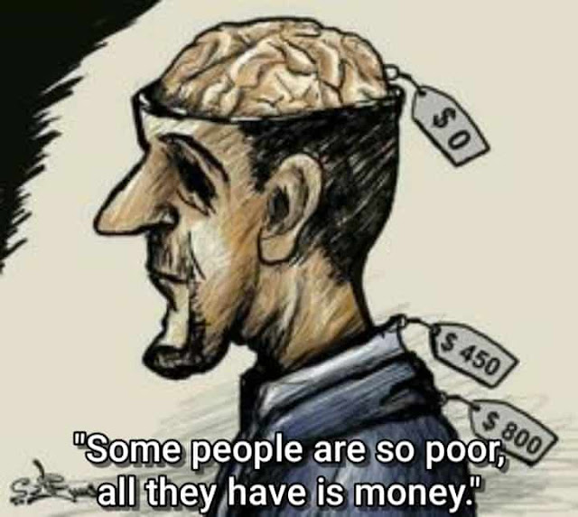 poor-brain-much-money-stupid