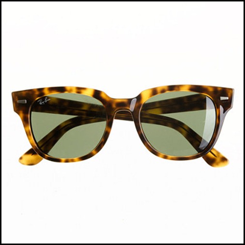 Ray Ban Meteor Sunglasses