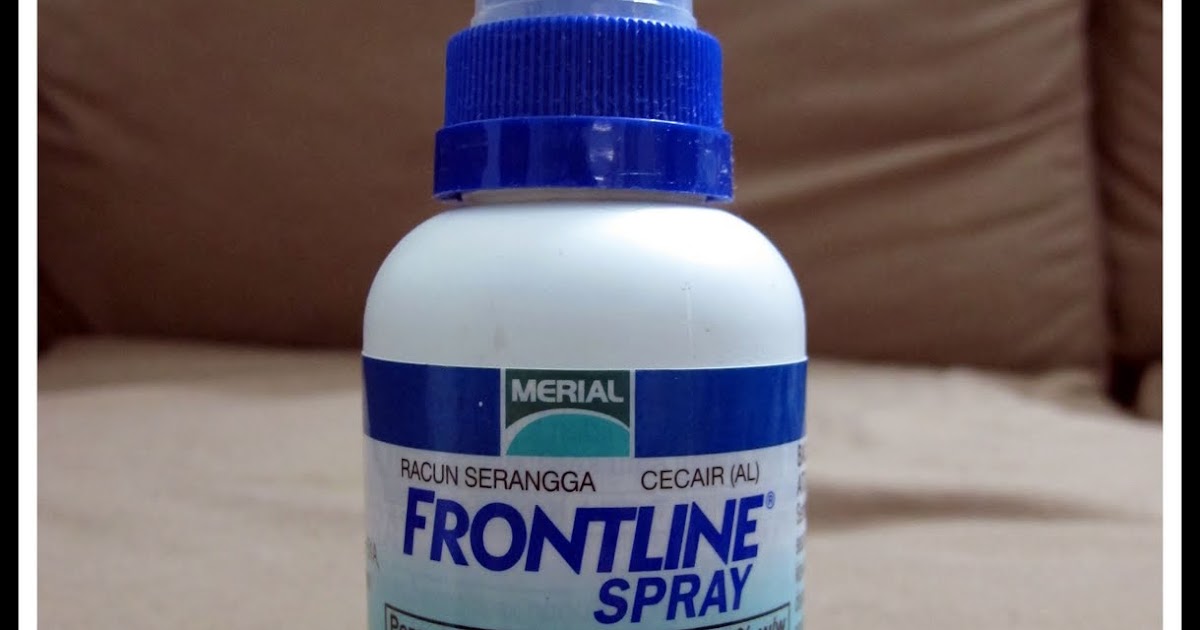 Ubat Kutu Kucing Frontline  Contoh Tempo