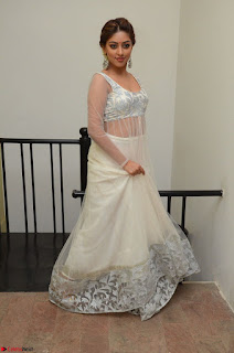 Anu Emmanuel in a Transparent White Choli Cream Ghagra Stunning Pics 035.JPG