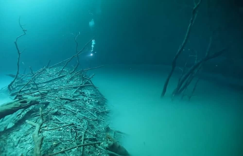 Mexico's Cenote Angelita - A Hidden Underwater River Flowing Under the Ocean