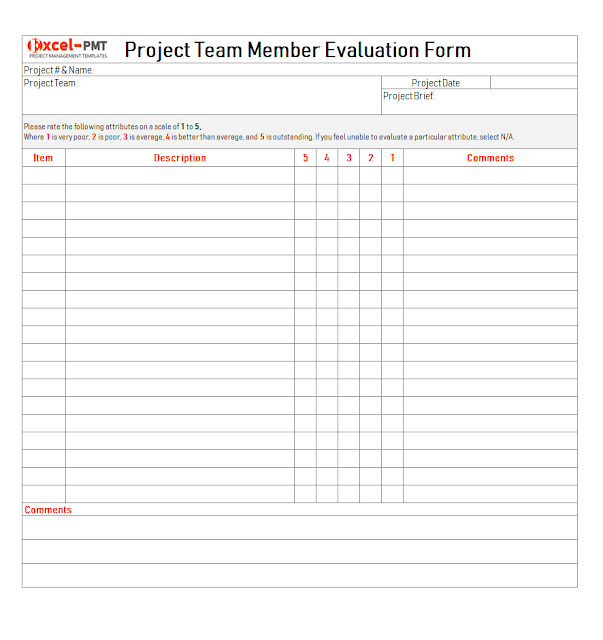 Project team member evaluation form