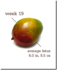 week 19 mango