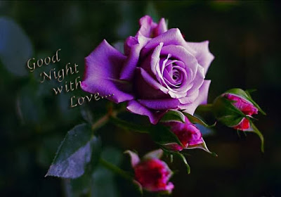 Top Beautiful and finest good night with flowers, Love, good night wallpaper, good night free collection.