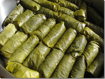 Dolmas 015