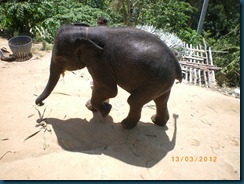 Phuket (8)