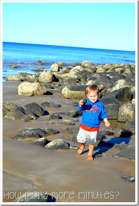 Mon Repos Turtle Centre | How Many More Minutes?