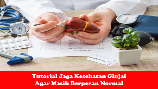 Tutorial Jaga Kesehatan Ginjal Agar Masih Berperan Normal