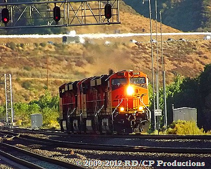 DSCF0273
