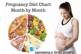 PREGNANCY DIET PLAN INDIA 2023