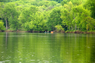 will hog manure improve this river?