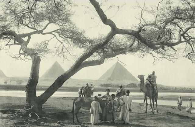 Вид на пирамиды Гизы