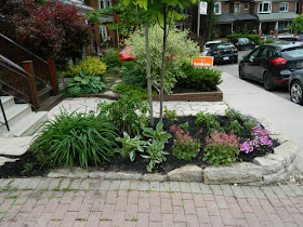 by Paul Jung Gardening Services--a Toronto Gardening Company new front makeover in Wychwood after