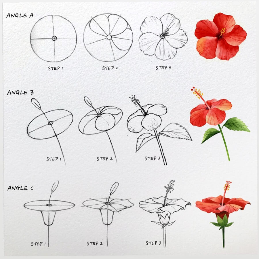 11-Hibiscus-Kate-Kyehyun-Park-www-designstack-co