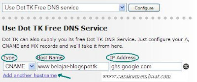 CNAME dot tk setting DNS