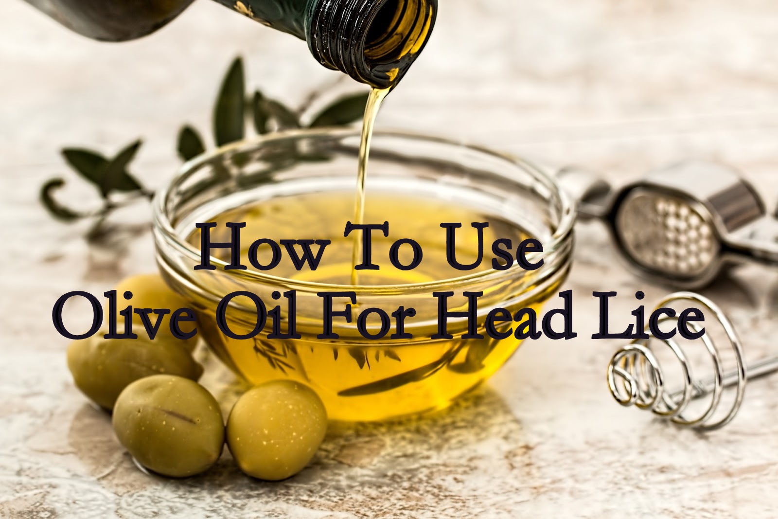  What you need and how to use olive oil for head lice How To Use Olive Oil For Head Lice