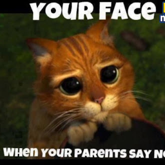  when your parents say no :(