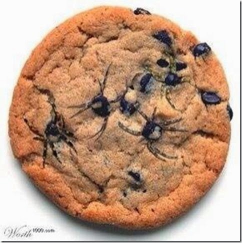 chocolatechipcookie