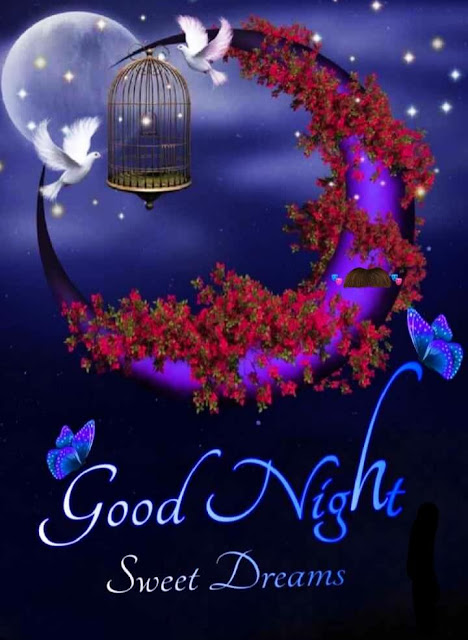 Good Night Facebook Images, Good Night Images For Facebook, good night images, good night friends images for facebook, good night facebook status, good night facebook family and friends, beautiful good night images for facebook, fb good night photo,