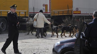 articolo su risarcimento richiesto dai familiari del camionista di Alcamo sbranato dai cani.