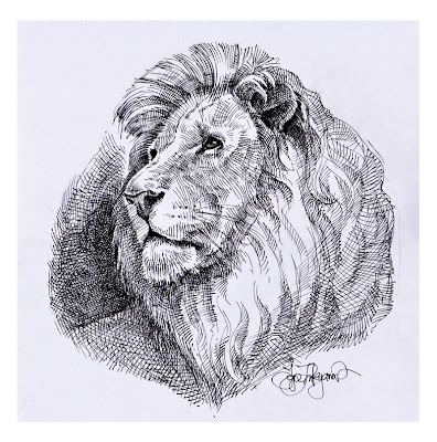 lion drawing, royalty free image