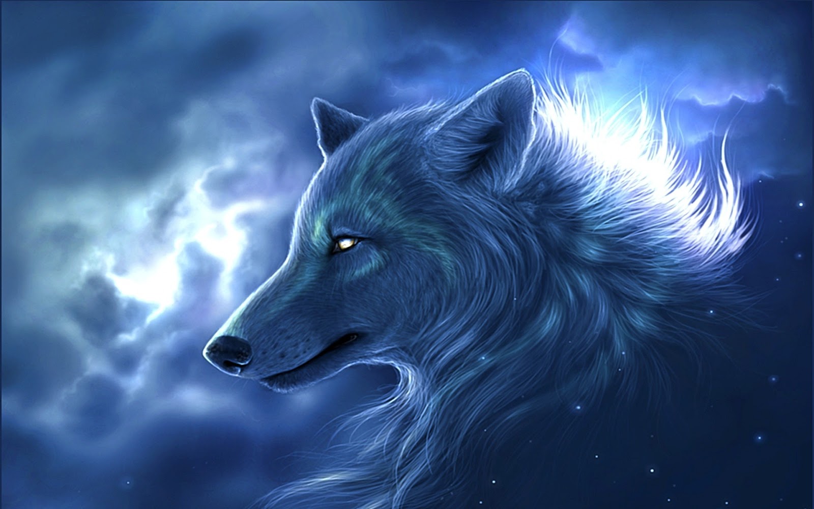 HQ Wallpapers: 3D Wolf Photos