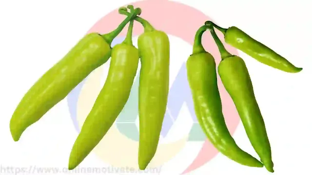 কাঁচা লঙ্কার উপকারিতা ও অপকারিতা(কাঁচা মরিচ)