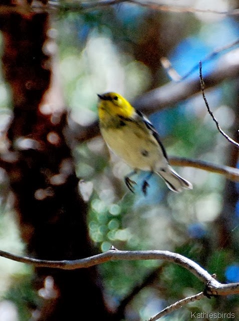 9. in flight-kab