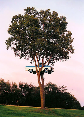 Truck In The Tree Seen On coolpicturesgallery.blogspot.com Or www.CoolPictureGallery.com