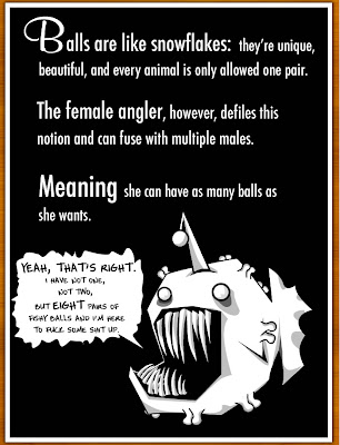 How The Male Angler Fish Gets Completely Screwed www.coolpicturegallery.net