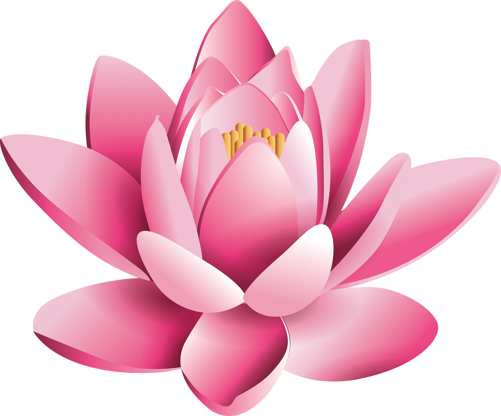 beautyful Lotus flower PNG vector images and photos Ping