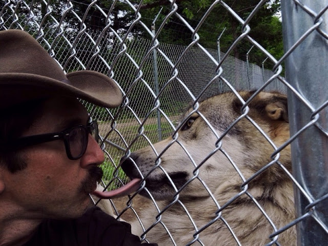 Dog licking man's face