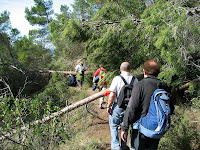 Caminada de Puig-reig 2010