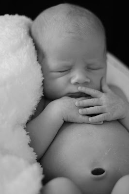 minneapolis area newborn photographer