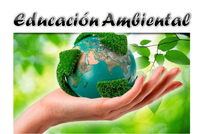 Medio ambiente: ¿qué es la educación ambiental y por qué es tan importante para la naturaleza? (Ingeniería ambiental)