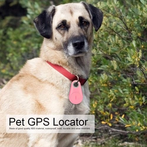 Review YOUTHINK Pet GPS Tracker for Dogs