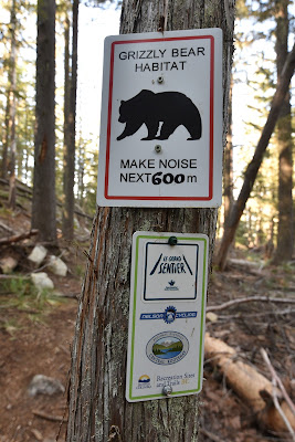 Great Trail Grizzly Bear BC.