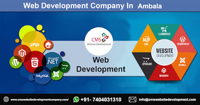  Web development Company in Ambala