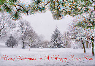 Christmas And New Year 2013 Wishes with Snowy Background, images, pictures, wishes, greeting cards animation, wallpapers