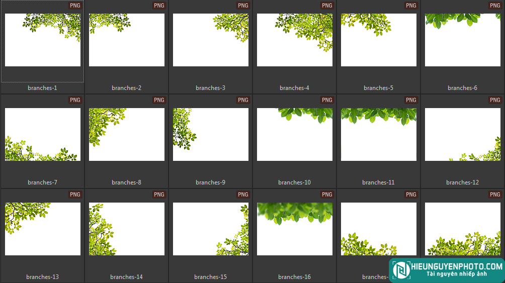 Green Branches photo ghép ảnh