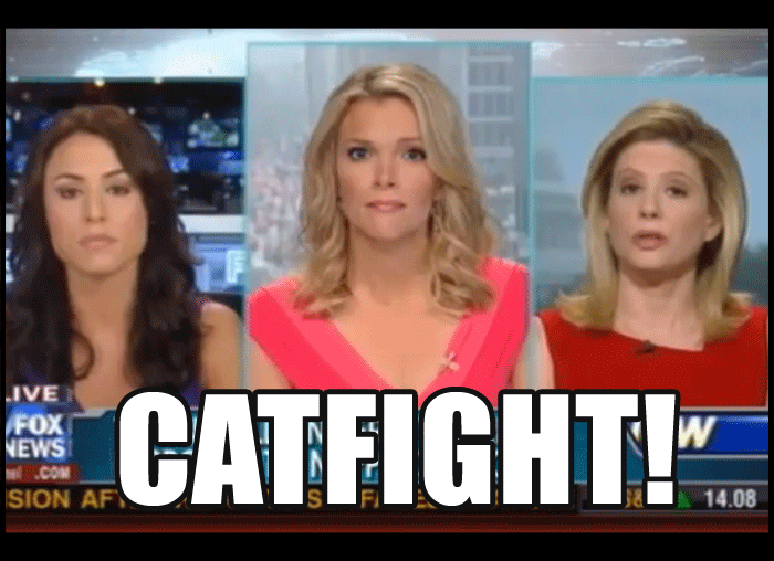 Fox News CatFight