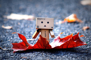 sad danbo 