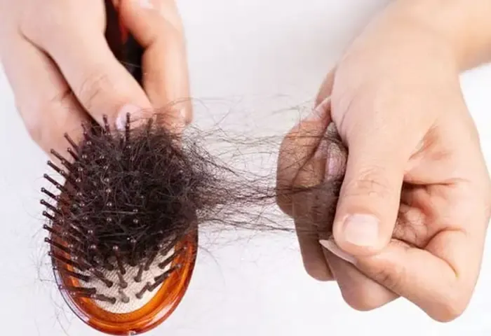 Health, Diseases, Malayalam News, Lifestyle, Health Tips, Hair Fall Problem, Hair Fall, Hair Fall Solution, Health Issues, Excessive hair fall during monsoons? Pay attention to these things.