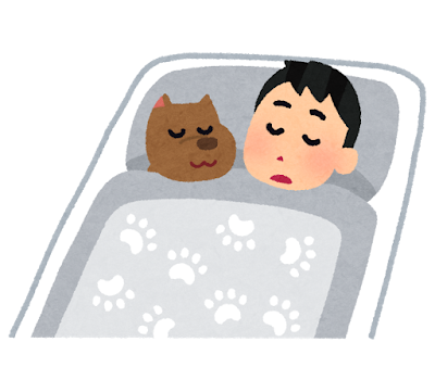 犬と寝る人のイラスト
