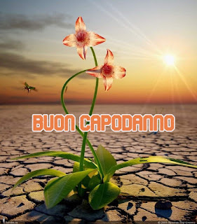 bun capodanno immagini