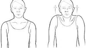 exercises for neck and shoulder pain