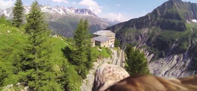 He Attached A Camera To An Eagle And Made This Breathtaking Video!