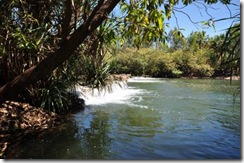mataranka fall3