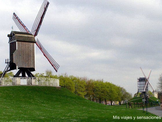 Molinos de Brujas, Bélgica