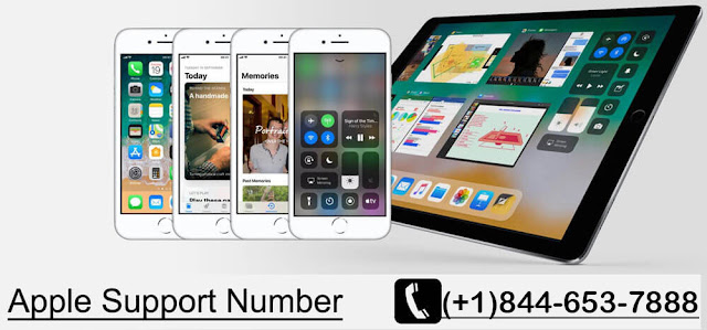 apple support phone number